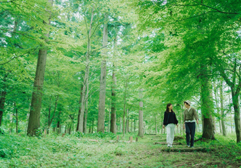 森歩きの画像