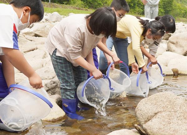 宮川小児童が稚鮎を放流の様子6