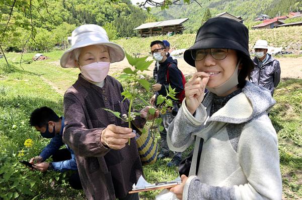 薬草観察様子(2)