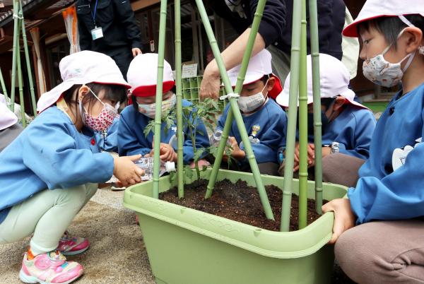 苗植え体験の様子(2)