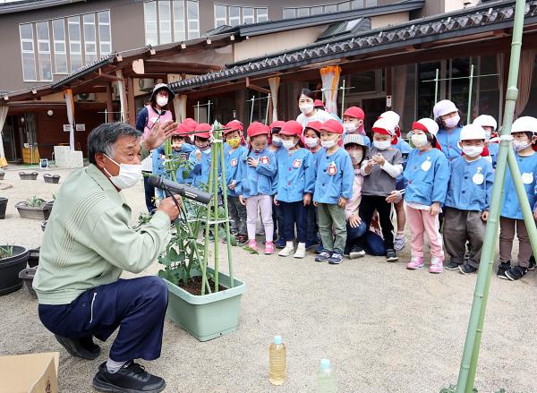 苗植え体験の様子(3)