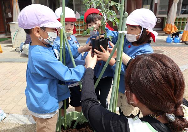 苗植え体験の様子(4)