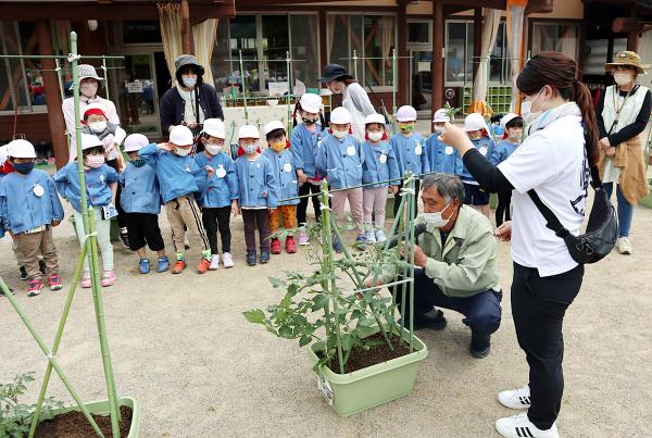 苗植え体験の様子(5)