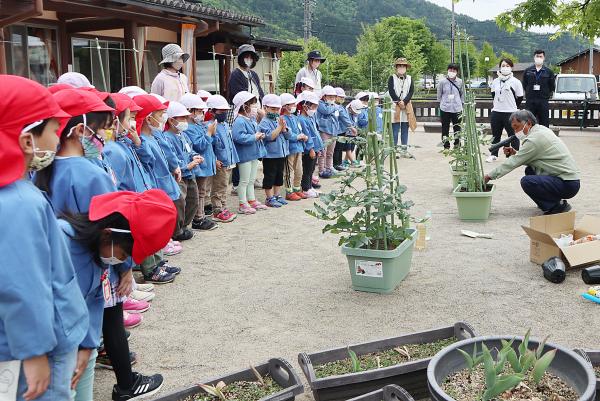 苗植え体験の様子(6)