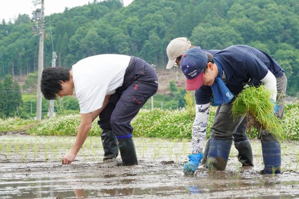 薫米プロジェクトの様子(3)