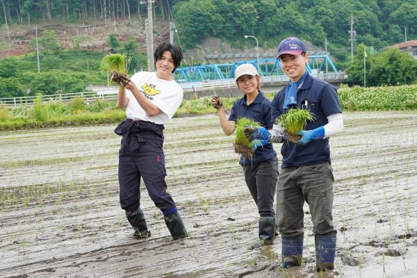 薫米プロジェクトの様子(6)