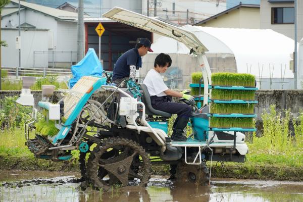 薫米プロジェクトの様子(11)