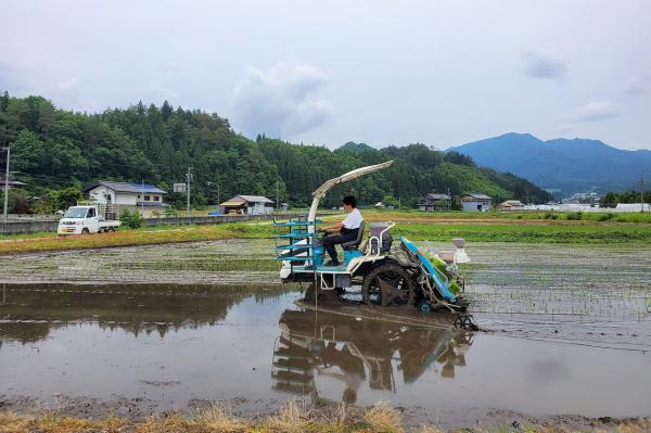 薫米プロジェクトの様子(16)