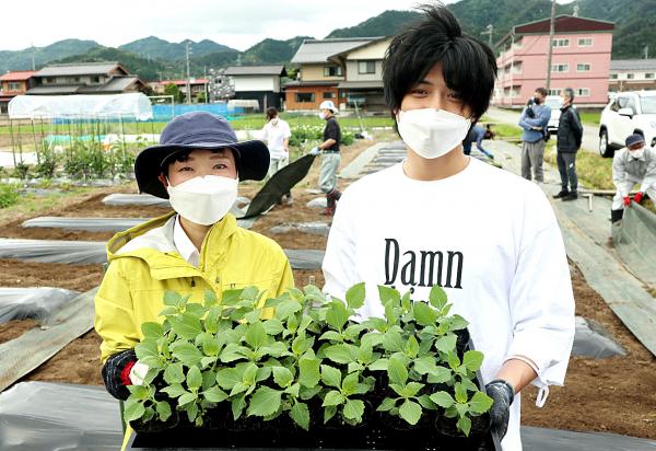 苗の移植作業の様子(2)