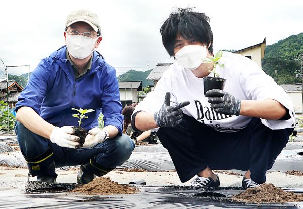 苗の移植作業の様子(3)