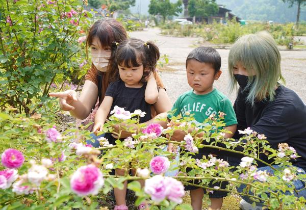 「香愛ローズガーデンに集合！」の様子写真