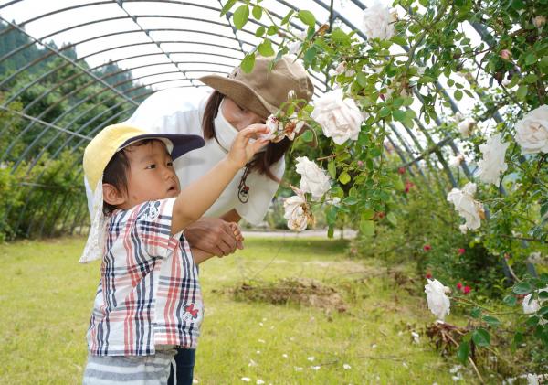 「香愛ローズガーデンに集合！」の様子写真