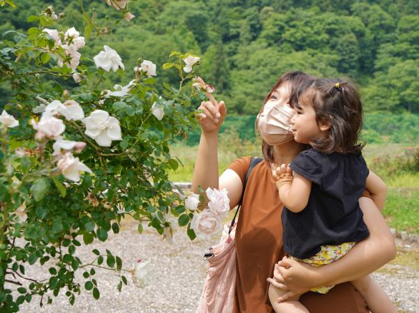 「香愛ローズガーデンに集合！」の様子写真