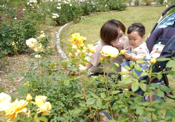 「香愛ローズガーデンに集合！」の様子写真