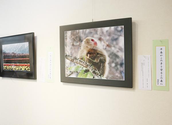 ォトあさぎり五七五写真展の様子