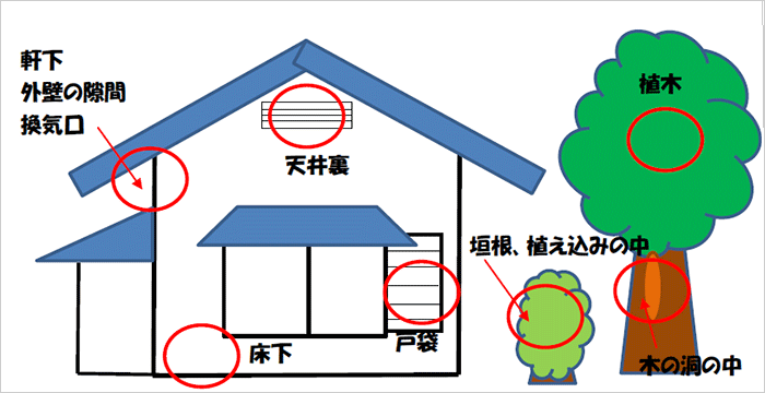 このような場所に注意の画像