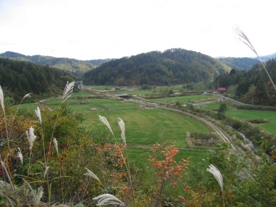 周辺は旧宮川村ののどかで美しい景色に溢れる