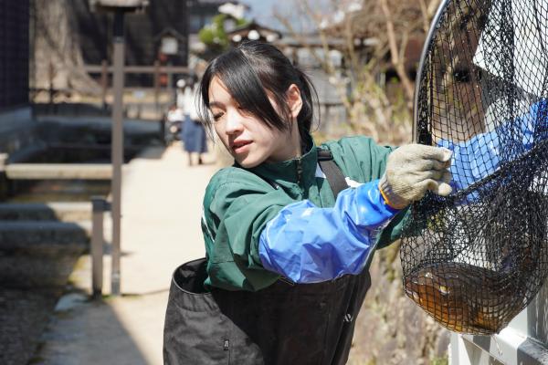 瀬戸川に鯉帰る(13)