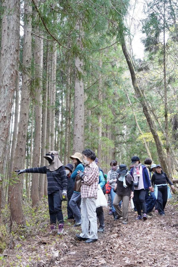 薬草散策の様子(2)