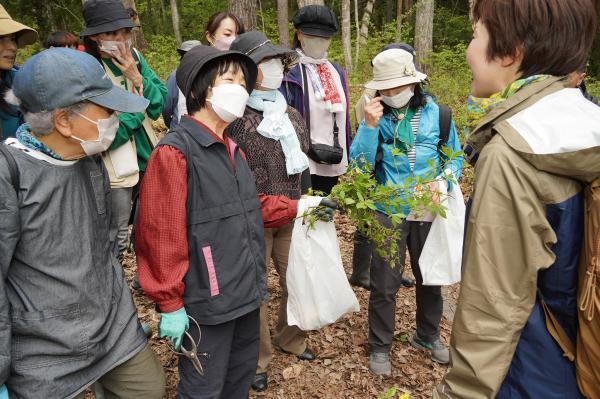 薬草散策の様子(5)