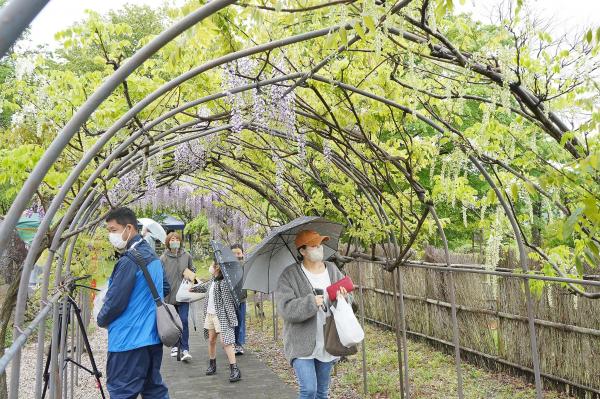 会場の様子(9)