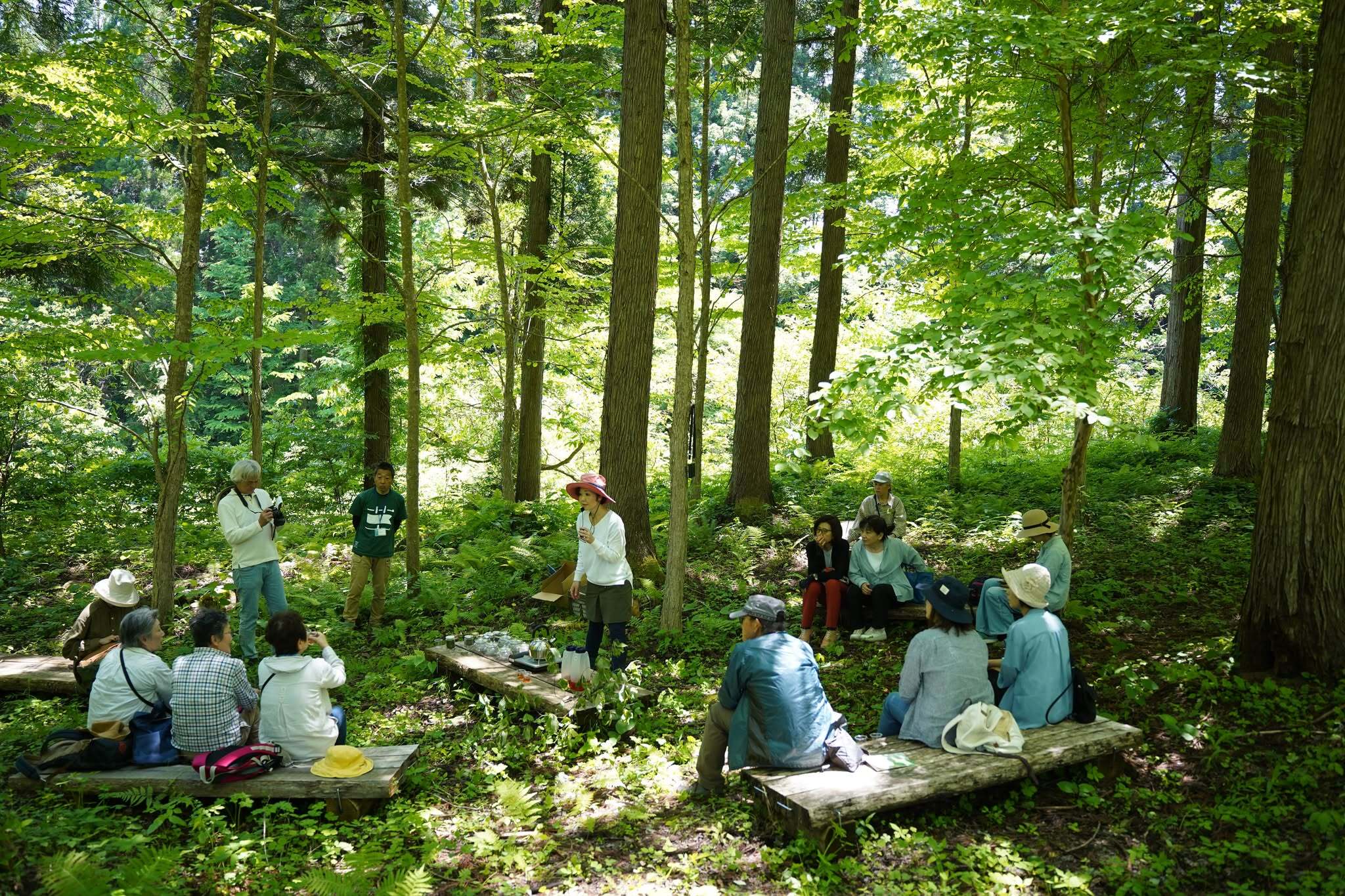 メイングラフィック5