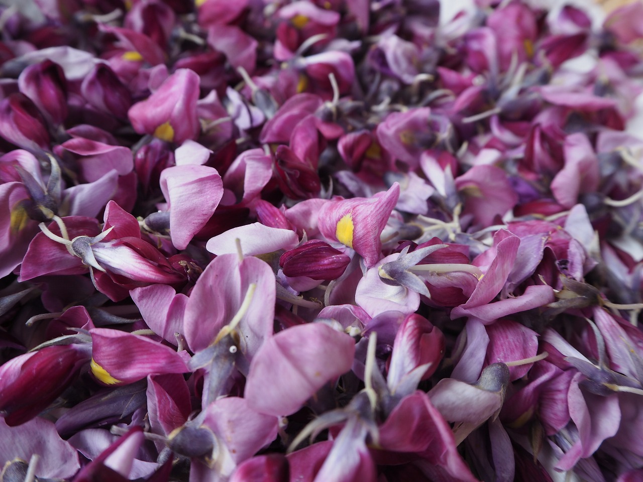 メイングラフィック6