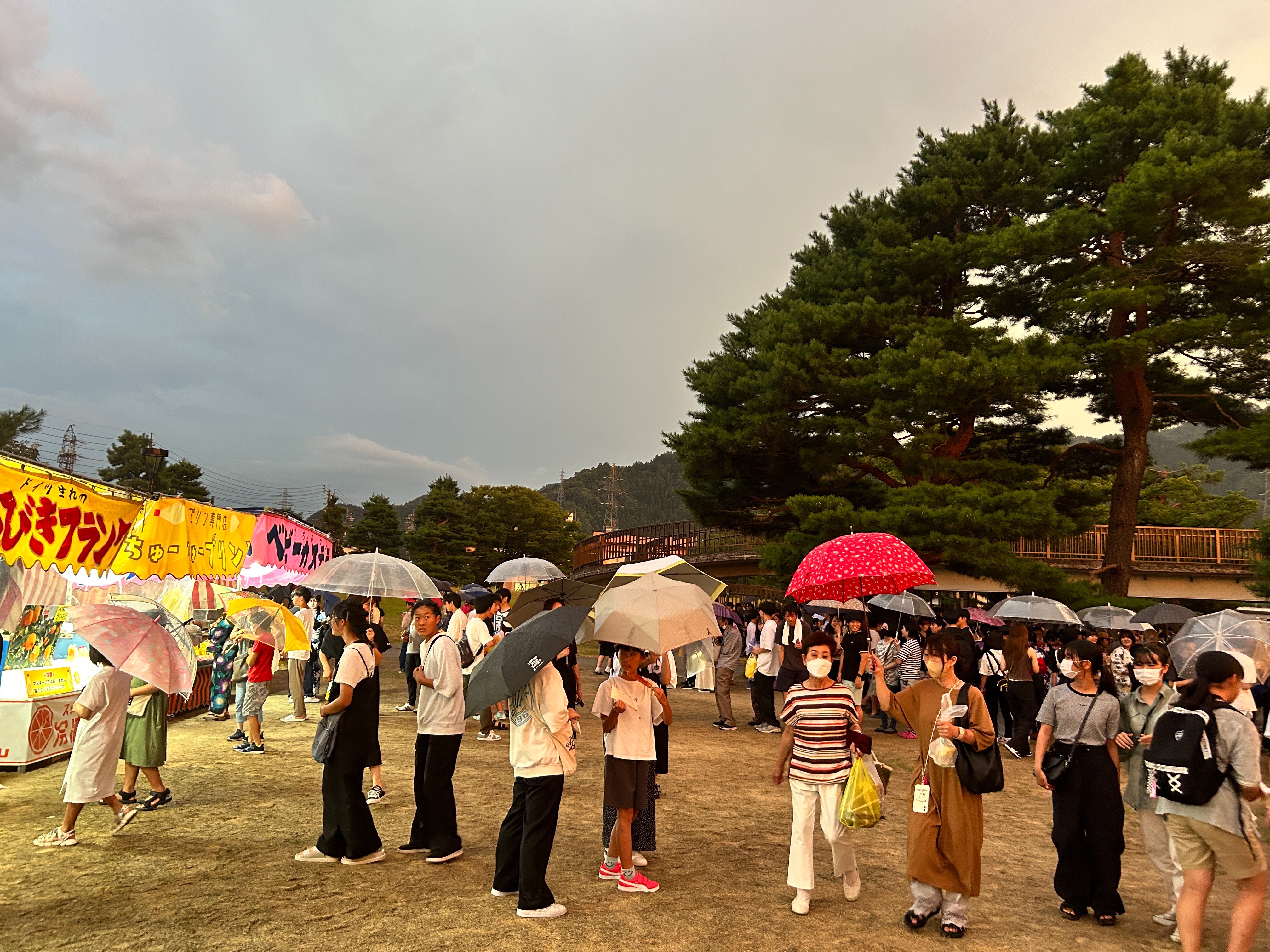 千代の松原公園の様子