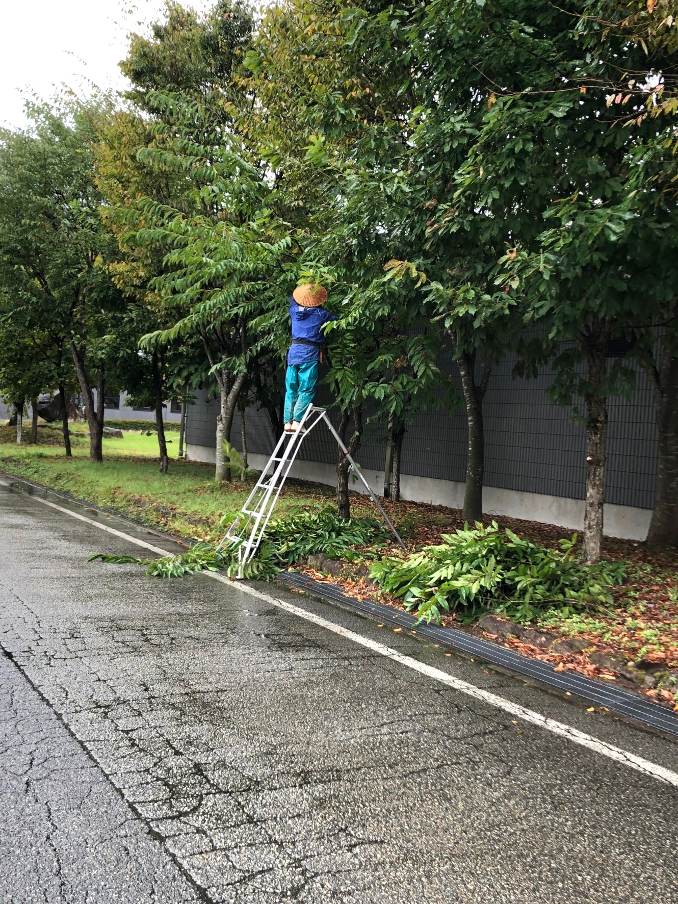 各地での活動の様子