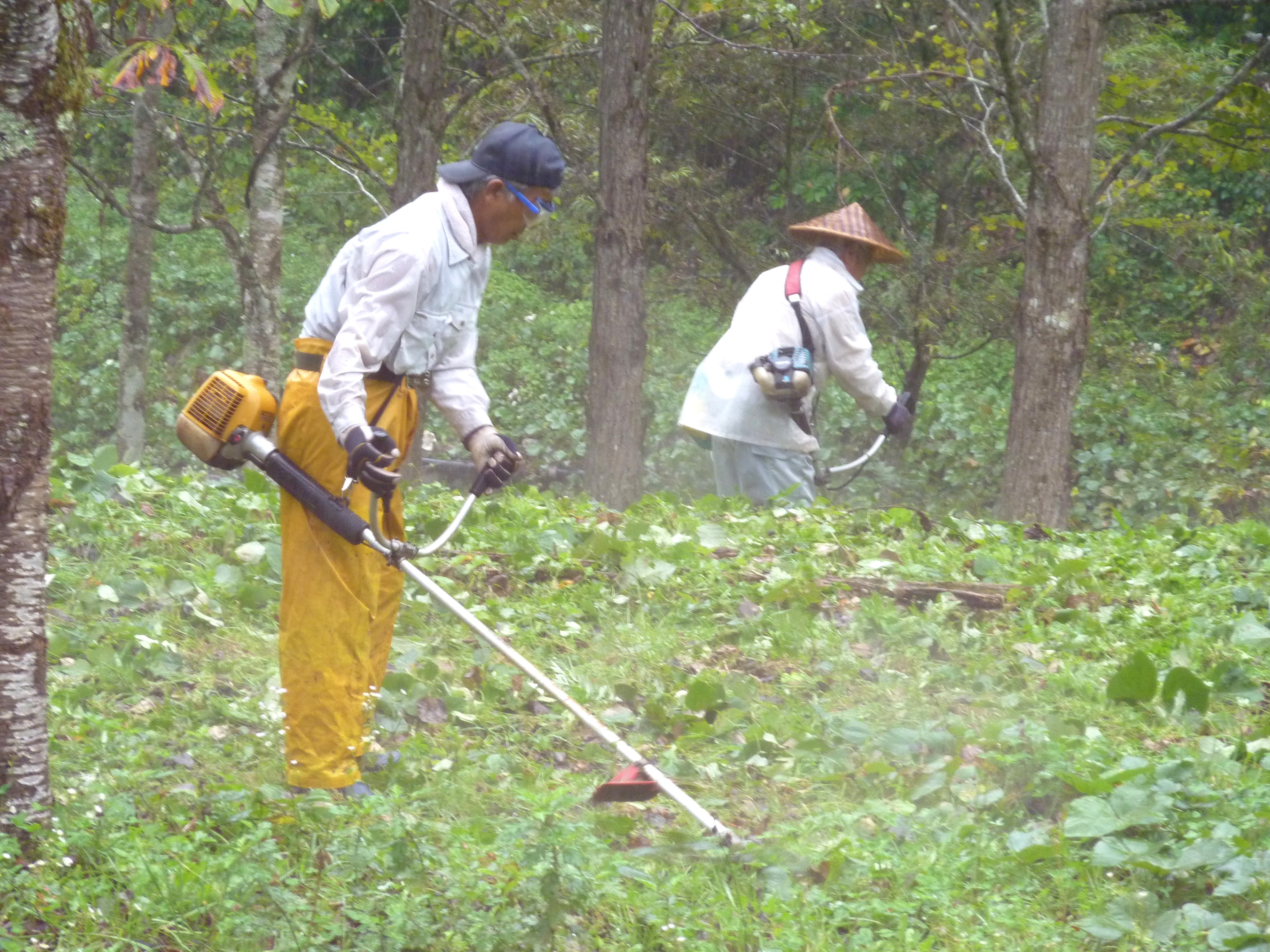 各地での活動の様子