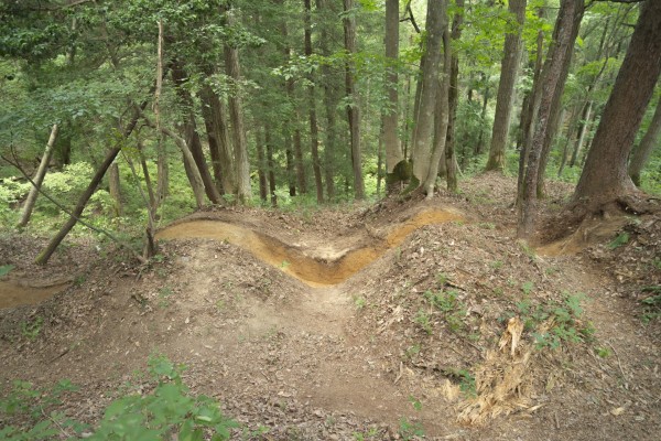 野口城跡の畝状空堀群