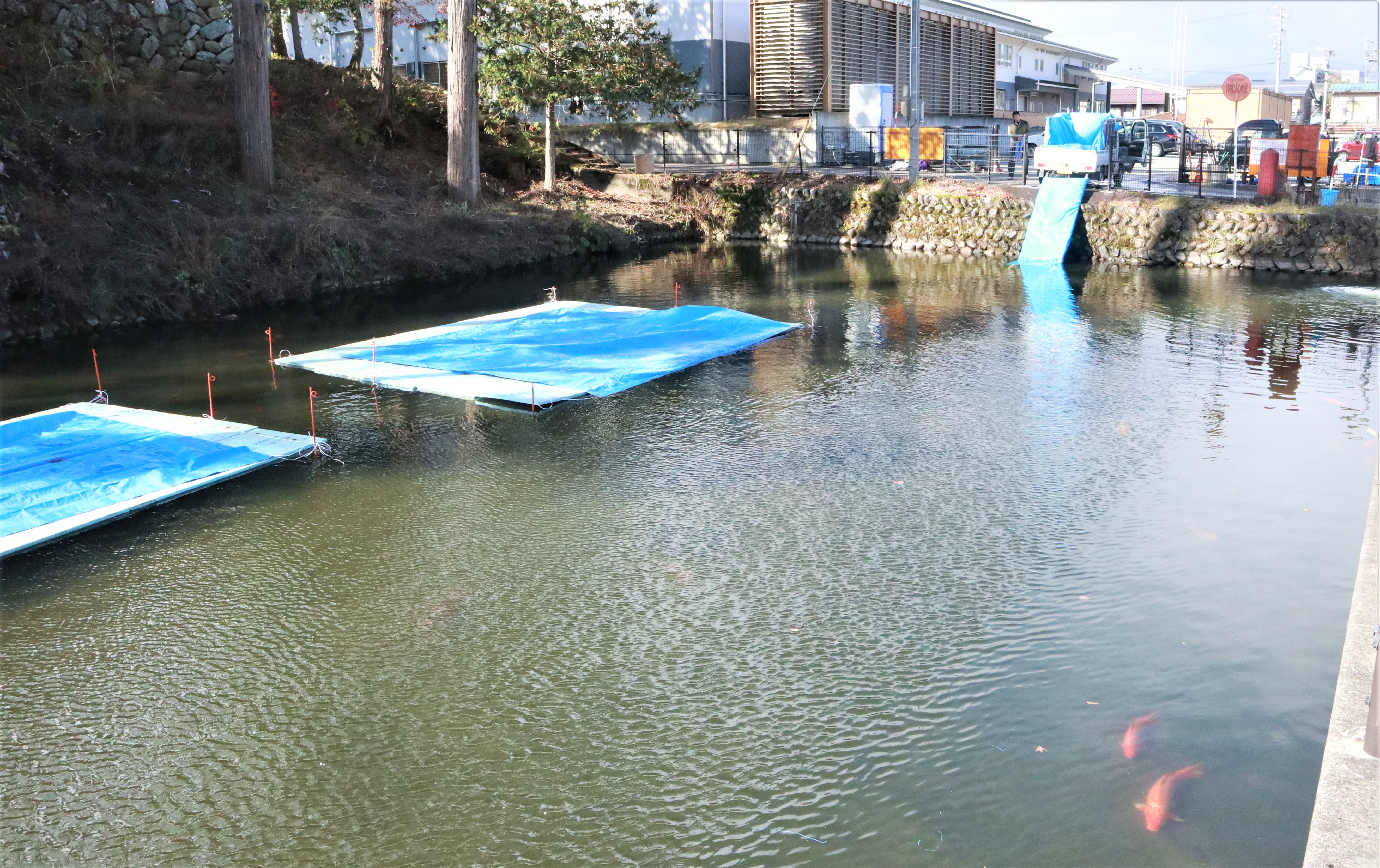 天神池の様子