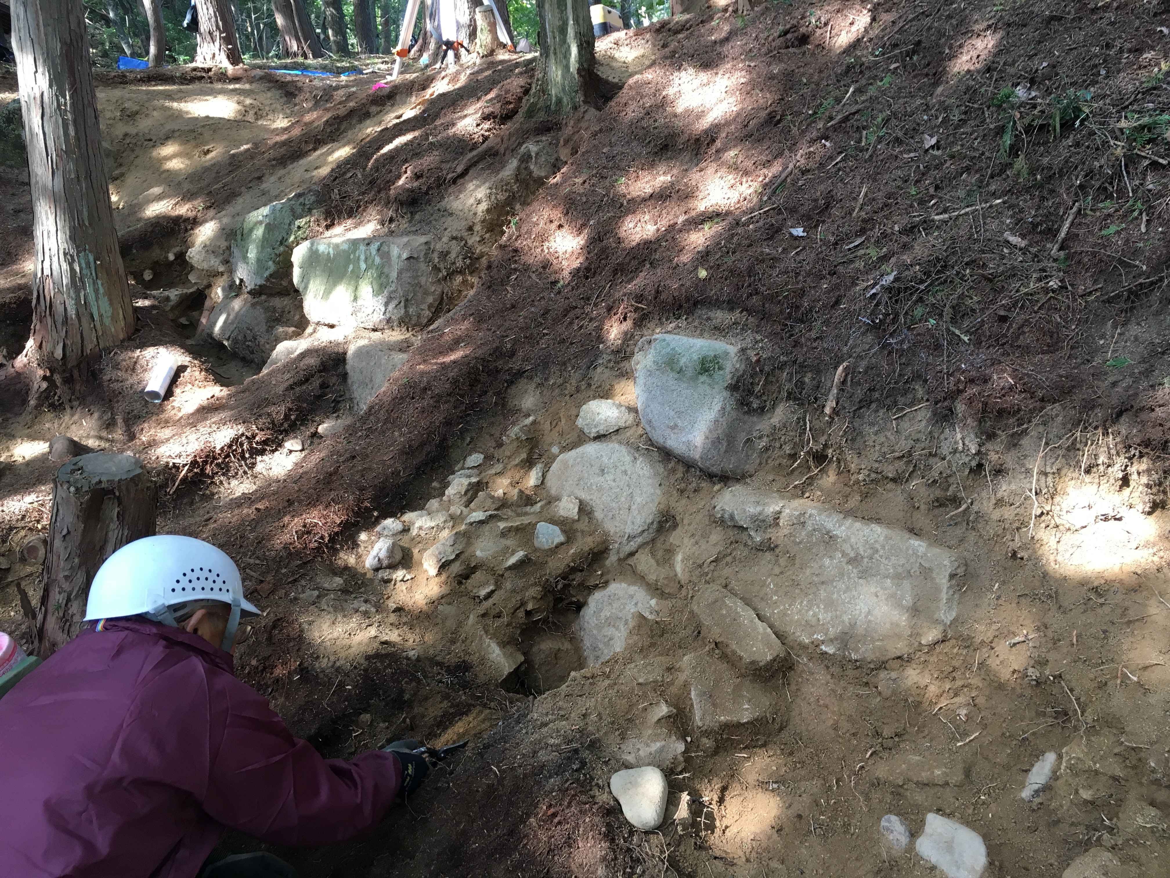 古川城の発掘調査で見つかった石垣