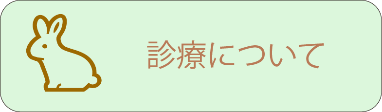 診療について