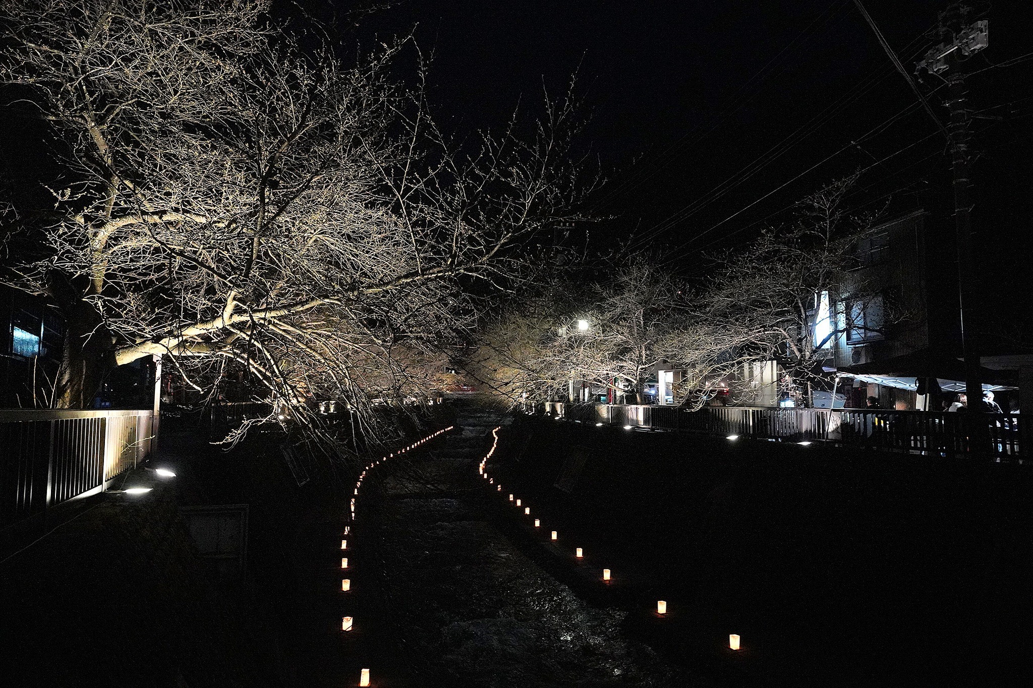 神岡夜桜夜市の様子