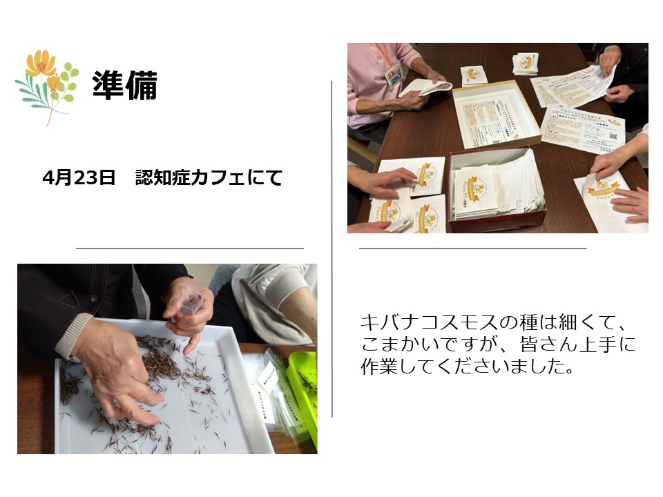 認知症カフェで種の小分け、チラシを折る作業