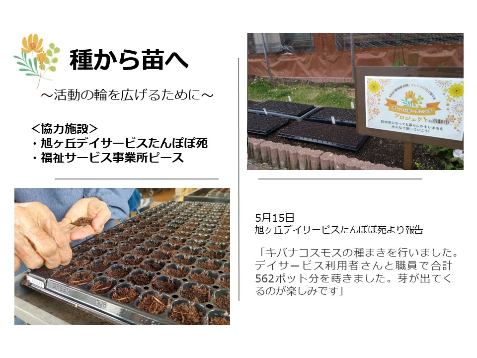 旭ヶ丘デイサービスたんぽぽ苑で種まき作業