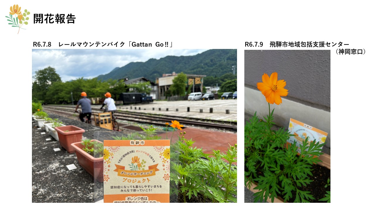 開花報告