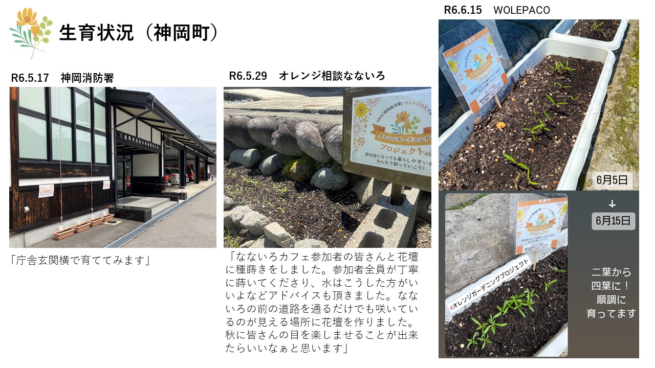 神岡町の生育状況の写真