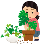 新春を迎える和風寄せ植え　イメージ画像