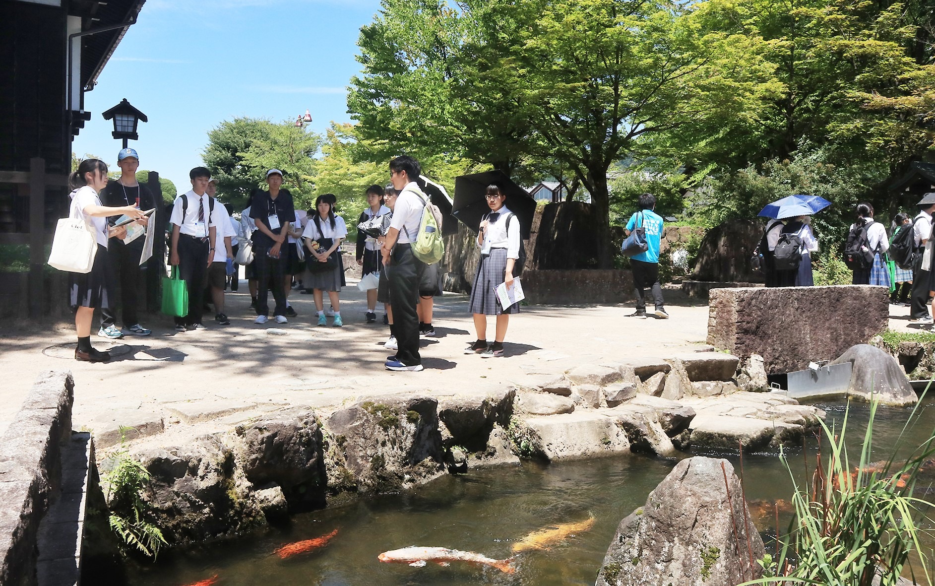 まちあるきガイドを行う吉城校生