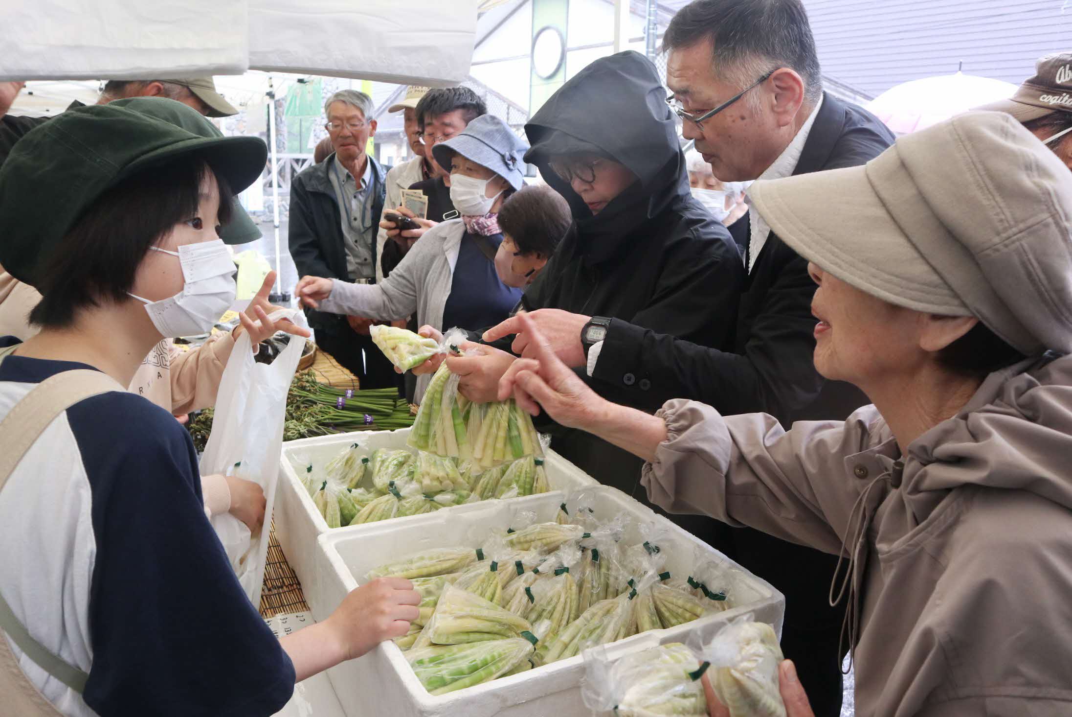 山菜の宝庫、河合町で山菜市が開かれました