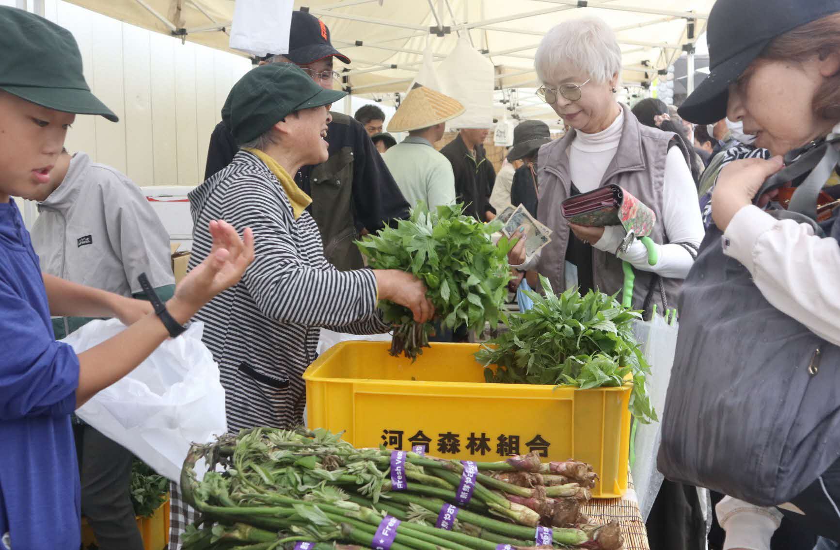 山菜の宝庫、河合町で山菜市が開かれました