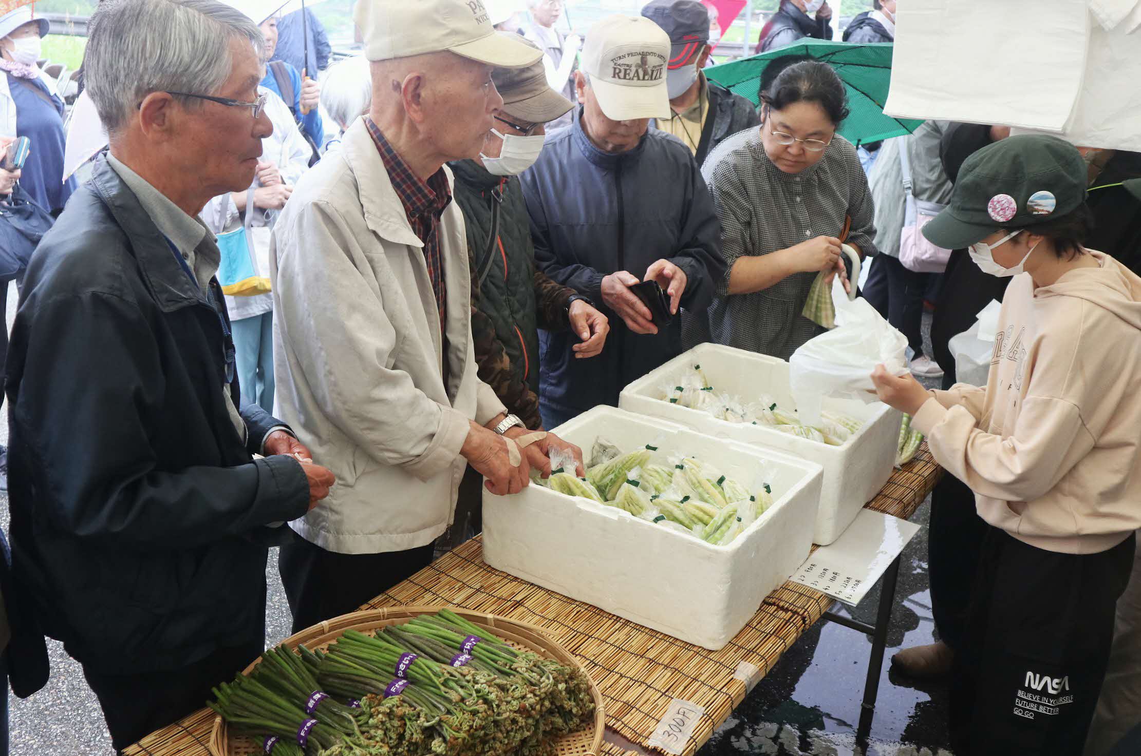 山菜の宝庫、河合町で山菜市が開かれました