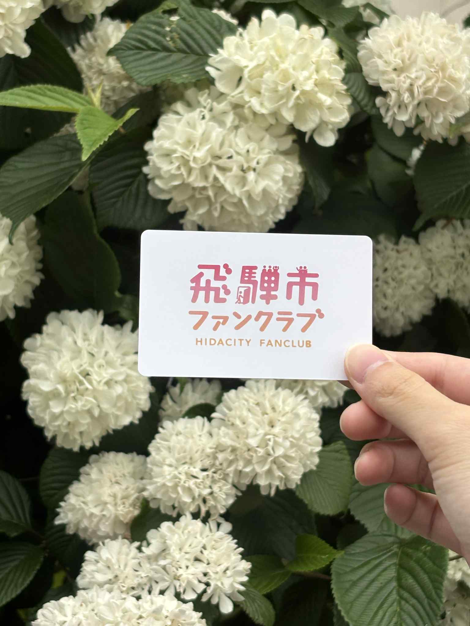 ファンクラブ会員証イメージ画像