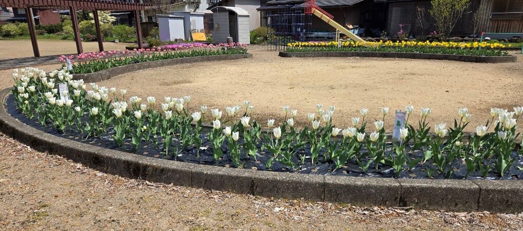 公園