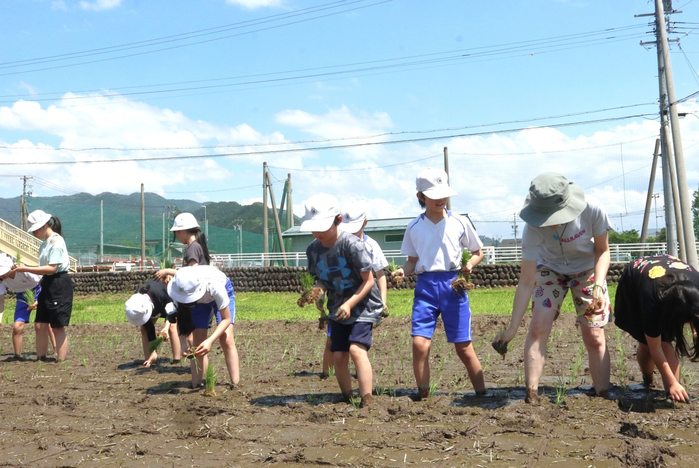 古西小学校　米作り