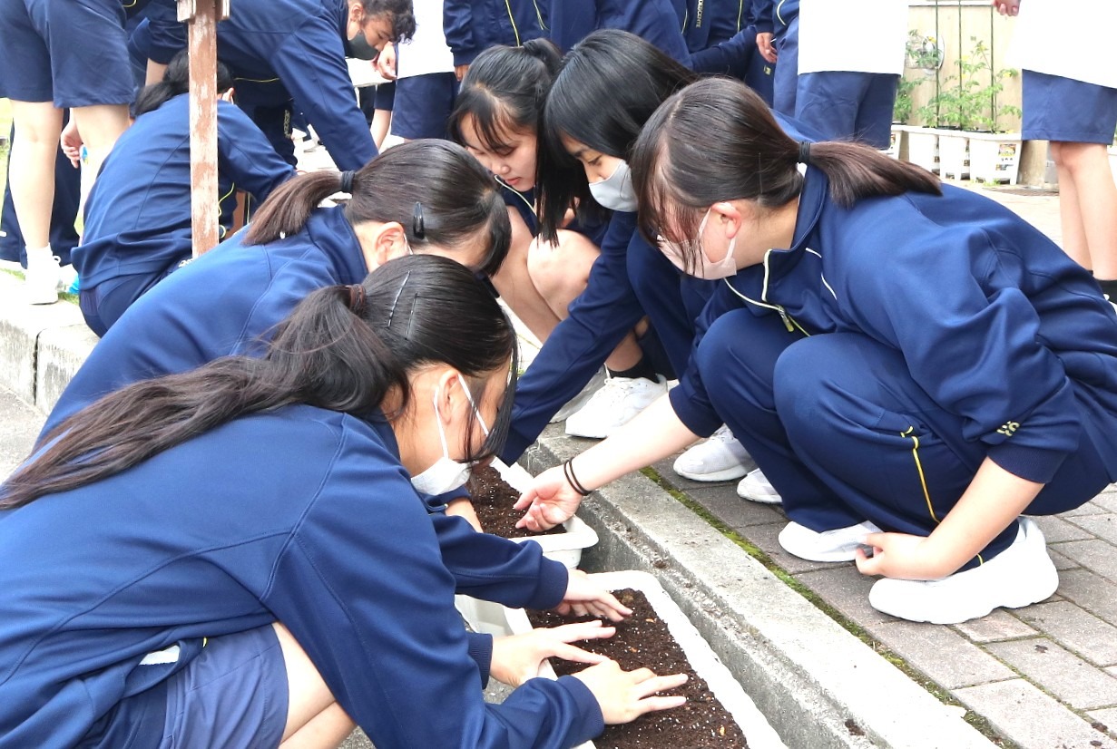 古川中学校の生徒が種まきをしている写真