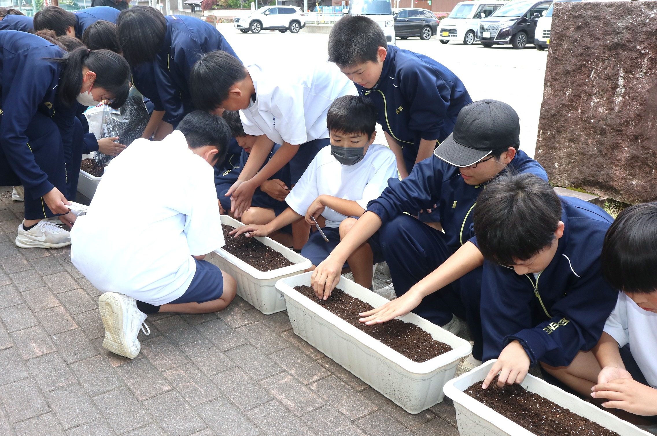 古川中学校の生徒が種まきをしている写真