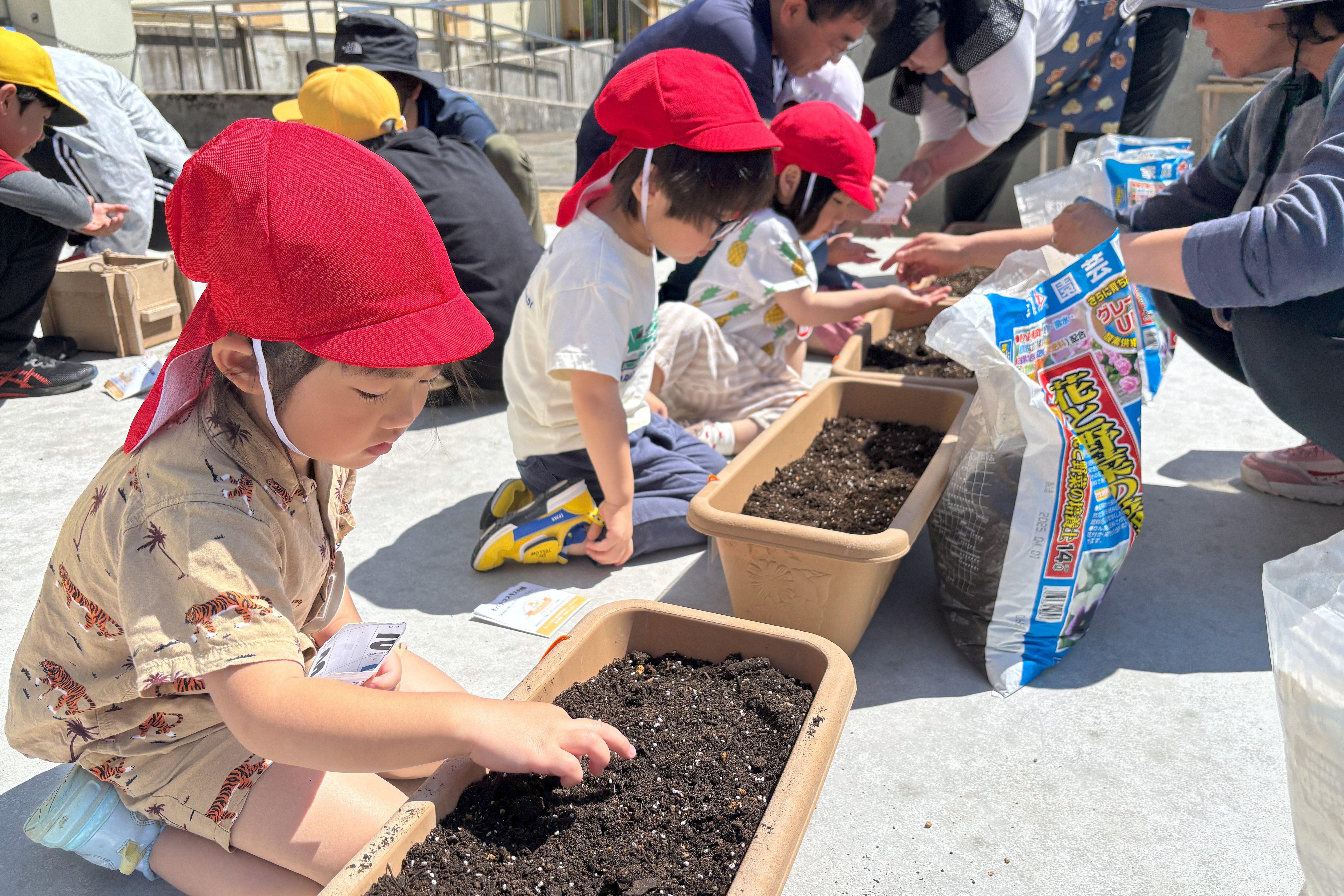 「オレンジガーデニングプロジェクトin飛騨市」始まる～宮川町の児童と園児たちが「種まき会」～